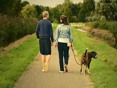Benefits Of Walking : सुबह-शाम इसलिए चलना चाहिए पैदल, टल जाता है इन 5 गंभीर बीमारियों का खतरा