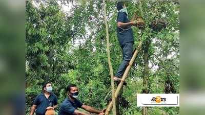 উম্পুনে উদ্বাস্তু পাখিদের ‘ঘর’ দিল সংগঠন