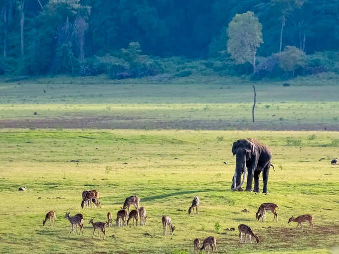 नागरहोल टाइगर रिजर्व