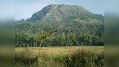 ಪರಿಸರದ ಅಮೂಲ್ಯ ಜೀವಕ್ಕೆ ಆತಂಕ