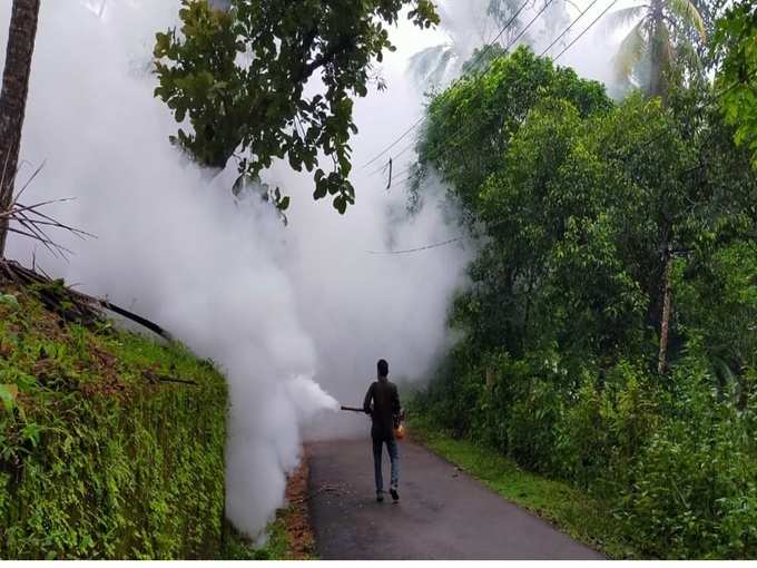 തോട്ടങ്ങളിലേക്ക് നീങ്ങാം ക്യംപെയിനുകള്‍