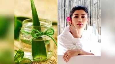 रात में सोने से पहले लगाएं Aloe vera नाइट क्रीम, बढ़ जाएगी Skin की ब्राइटनेस