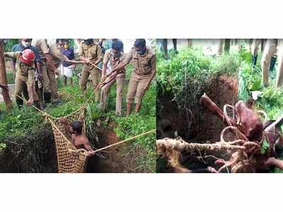 35അടി താഴ്ച്ചയുള്ള കിണറ്റില്‍ വീണ പശുവിനെ രക്ഷിക്കനിറങ്ങിയ യുവാവും കിണറ്റില്‍ വീണു, പിന്നീട് സംഭവിച്ചത്...