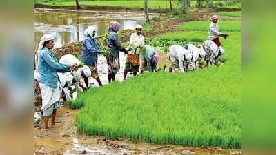 കാർഷികമേഖലക്ക് തിരിച്ചടി; പാലക്കാട് ഇത്തവണ 28 ശതമാനം മഴ കുറവ്!!