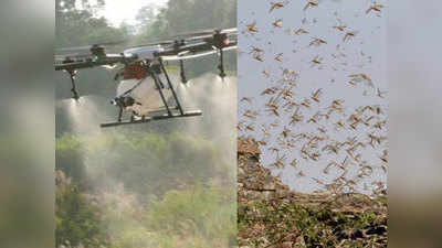 खेती के लिए बड़ा खतरा बने टिड्डियों को ड्रोन से नियंत्रित करने वाला पहला देश बना भारत
