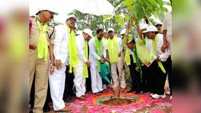 హరిత హారం ఆరో దశను ప్రారంభించిన కేసీఆర్ 