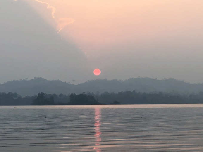 दिखते हैं कई तरह के जानवर