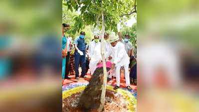 హరితహారం కార్యక్రమంలో పాల్గొన్న సీఎం కేసీఆర్, మంత్రి కేటీఆర్ 