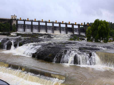 Pune Water Stock पुण्यावर पाणीसंकट; ११ धरणांनी गाठला तळ, हे धरण कोरडंठाक