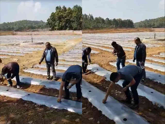 ms dhoni farming