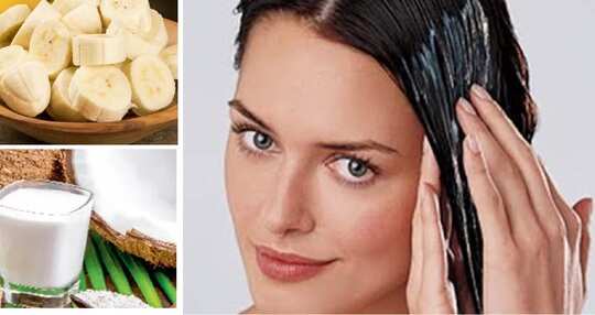 how to get silky hair at home, சில்கி ஹேர் வேணுமா எல்லாவகை கூந்தலுக்கும் இந்த இரண்டு பொருள் போதும், இப்படி யூஸ் பண்ணுங்க! - best homemade hair pack to get silky hair naturally ... how to get silky hair at home, சில்கி ஹேர் வேணுமா எல்லாவகை கூந்தலுக்கும் இந்த இரண்டு பொருள் போதும், இப்படி யூஸ் பண்ணுங்க! - best homemade hair pack to get silky hair naturally ...