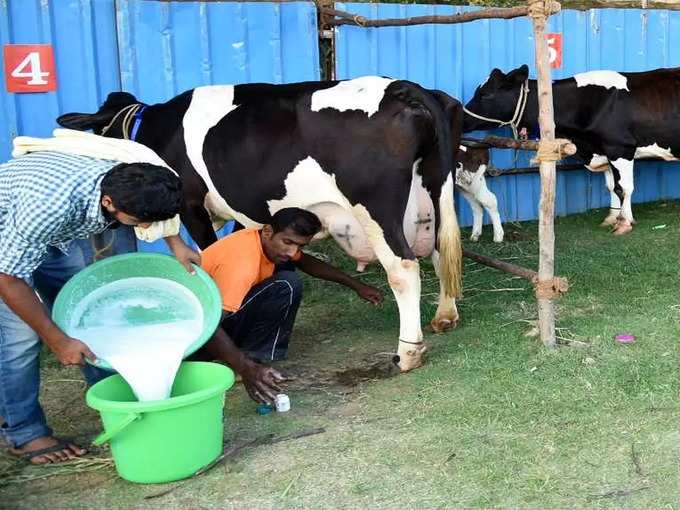 ​ಉಚಿತ ಹಾಲು ಹಂಚಿಕೆ ಹಣವೂ ಬಂದಿಲ್ಲ