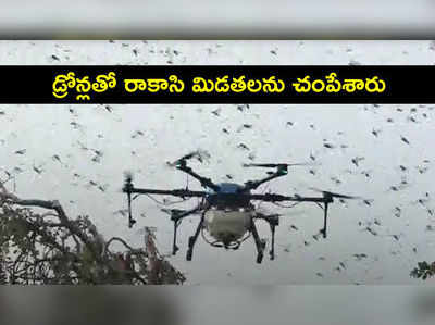 వీడియో: డ్రోన్లతో రాకాసి మిడతల తిక్క కుదిర్చారు.. దెబ్బకు చచ్చాయ్!