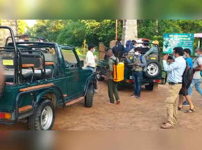 tadoba andhari national park : ताडोबा-अंधारी नॅशनल पार्क उघडले; तीन महिन्यानंतर पर्यटन सुरू