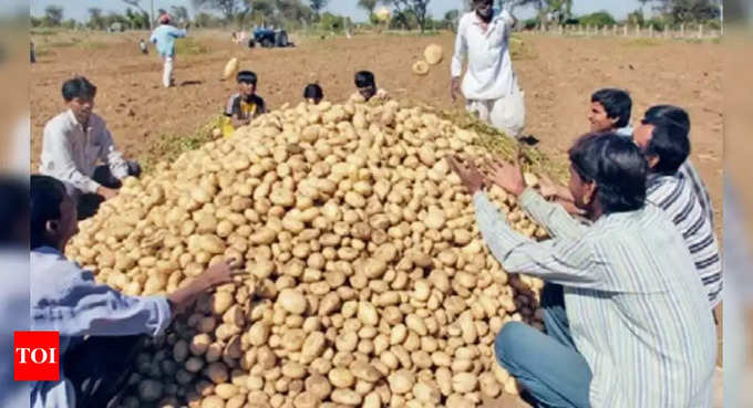 ​உருளைக்கிழங்கு அரசியல்