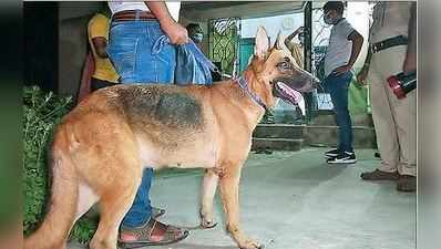 ফের বৃদ্ধ খুন, এবার লকডাউনের শহরে!