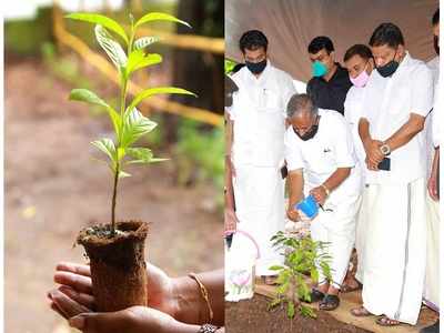 പ്ലാസ്റ്റിക് കവറുകള്‍ ഒഴിവാക്കും;  ഇനി ചകിരിച്ചോറില്‍ നിന്നും പരിസ്ഥിതി സൗഹൃദ തൈകള്‍