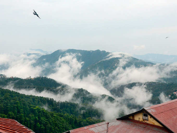 हिमाचल सरकार ने जारी किए दिशा-निर्देश