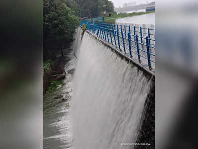 mumbai rains: मस्तच! पावसाची जोरदार हजेरी; पवई तलाव भरून वाहू लागला