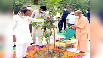 उत्तर प्रदेश ने फिर बनाया रेकॉर्ड, इस साल लगाए 26 करोड़ पौधे