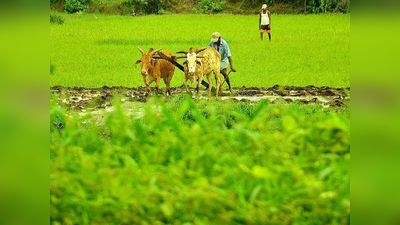 ಮುಂಗಾರು ಚುರುಕು, ರೈತರಲ್ಲಿ ಹೆಚ್ಚಿದ ಕೃಷಿ ಹುರುಪು