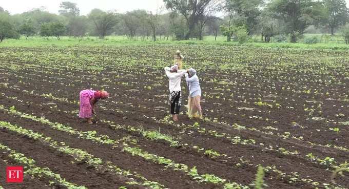 ​ಉತ್ತರ ಒಳನಾಡು ಪ್ರದೇಶಗಳಲ್ಲಿ ಹೆಚ್ಚು ಬಿತ್ತನೆ