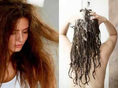 Hair Wash: आपके शैंपू में होते हैं ये 5 हानिकारक केमिकल, बालों की हो सकती है बर्बादी