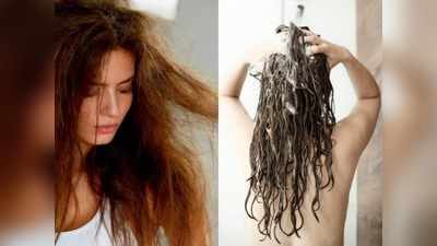 Hair Wash: आपके शैंपू में होते हैं ये 5 हानिकारक केमिकल, बालों की हो सकती है बर्बादी
