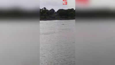 नदी पार करते समय फिसला पैर, पानी में बह गया 15 साल का लड़का, देखें Live Video