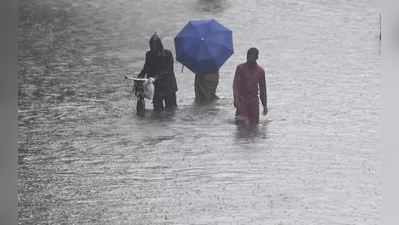 આખા ગુજરાતમાં મેઘરાજાની તોફાની બેટિંગ, જુઓ આજે ક્યાં કેટલો વરસાદ પડ્યો