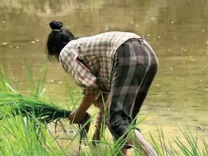 ​ಪ್ರತಿಷ್ಠಿತರ ಹೆಸರಲ್ಲಿ ನಕಲಿ