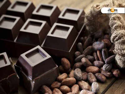 World Chocolate Day 2020: জানুন চকোলেটের আদি কথা...