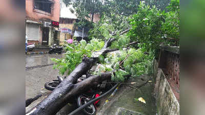 मुंबई में आफतवाली बारिश, कहीं गिरे पेड़ कहीं भर गया पानी