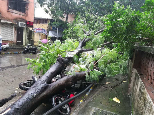 Delhi ncr weather update