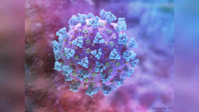 Coronavirus हवेतून करोना संसर्गाचा दावा; जागतिक आरोग्य संघटना म्हणते की...