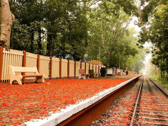 लाल फूलों से ढक जाता है स्टेशन