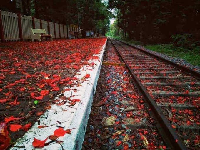 मानसून में कई गुना बढ़ जाती है खूबसूरती