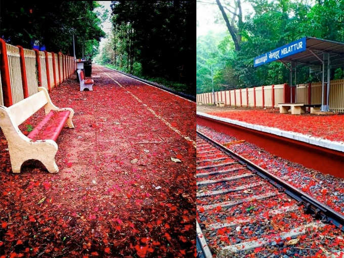 खूबसूरती देख रह जाएंगे हैरान