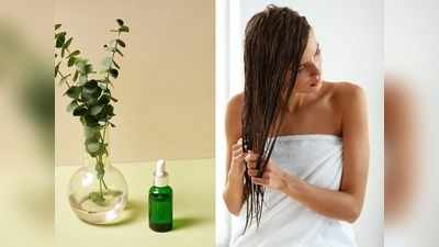 सिर पर ऐसे करें टी-ट्री ऑयल का यूज, जिद्दी से जिद्दी Dandruff की होगी छुट्टी