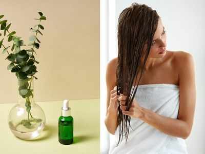 सिर पर ऐसे करें टी-ट्री ऑयल का यूज, जिद्दी से जिद्दी Dandruff की होगी छुट्टी