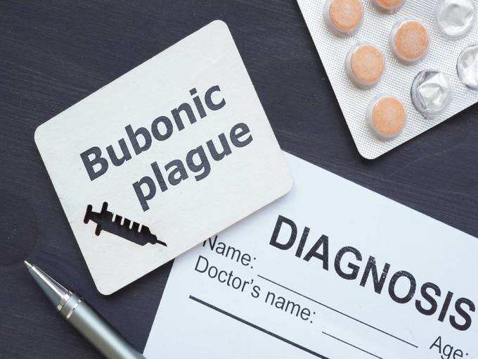 ​ब्यूबोनिक प्लेग का इलाज क्या है?