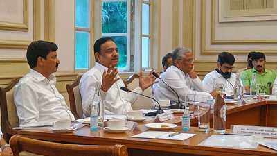 पूर नियंत्रणासाठी त्रिस्तरीय समिती स्थापन करण्याचा पर्याय; महाराष्ट्र-कर्नाटकातील मंत्र्यांच्या बैठकीत निर्णय