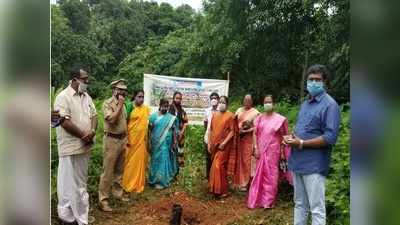 പാലായിലെ മാലിന്യ കൂമ്പാരം  ഇനി ഔഷധതോട്ടം; കാനാട്ടുപാറയിലെ മാലിന്യ കേന്ദ്രത്തിന് പുതിയ മുഖം