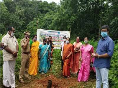 പാലായിലെ മാലിന്യ കൂമ്പാരം  ഇനി ഔഷധതോട്ടം; കാനാട്ടുപാറയിലെ മാലിന്യ കേന്ദ്രത്തിന് പുതിയ മുഖം