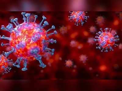 Coronavirus करोना उगमाची चौकशी; चीनमध्ये जागतिक आरोग्य संघटनेचे पथक दाखल