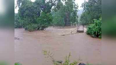 ಕಾರವಾರ: ಮಳೆಗೆ ಕೊಚ್ಚಿಹೋದ ಭತ್ತದ ಬೆಳೆ