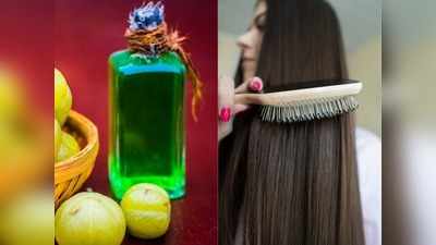 Hair Growth: घर पर ऐसे बनाकर लगाएं आंवले का तेल, हफ्तेभर में बढ़ेंगे बाल