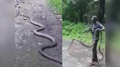 तमिलनाडु में निकला 15 फीट का कोबरा, हैरान रह गए लोग