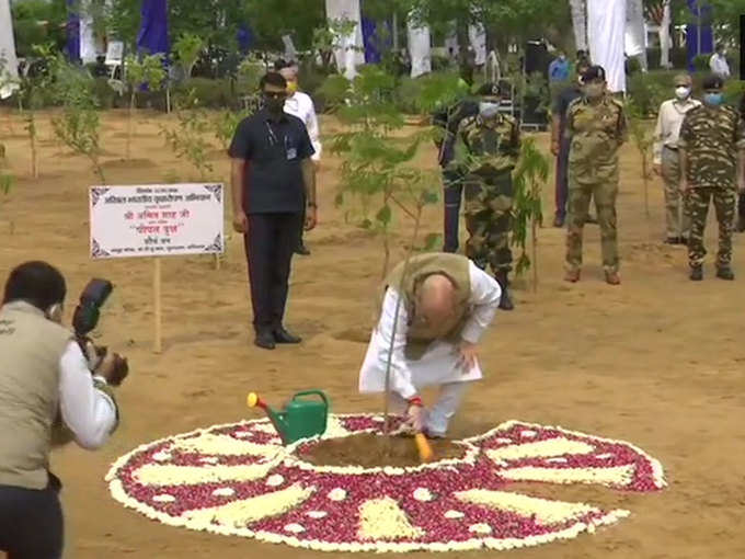 गृहमंत्री ने किया पौधारोपण