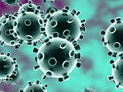 दतिया: रविवार को कोरोना वायरस संक्रमित एक भी नया मरीज नहीं, जिले में कुल 18 एक्टिव केस